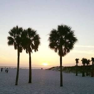 Meet your Posher, George